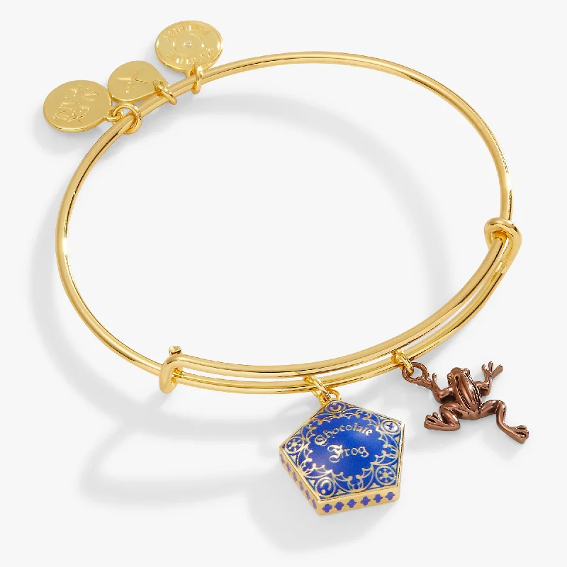 Harry Potter™ Chocolate Frog Two-Charm Bangle